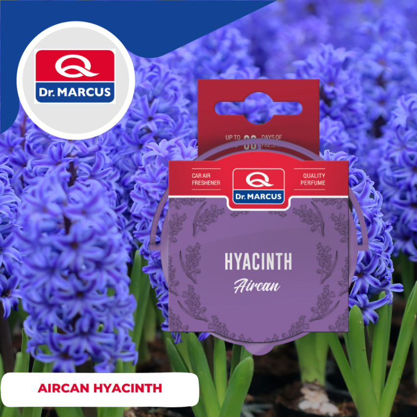 Sáp Thơm Ô Tô Aircan Hyacinth